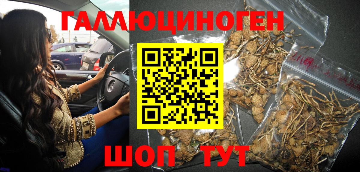 Галлюциногенные грибы мицелий Майкоп